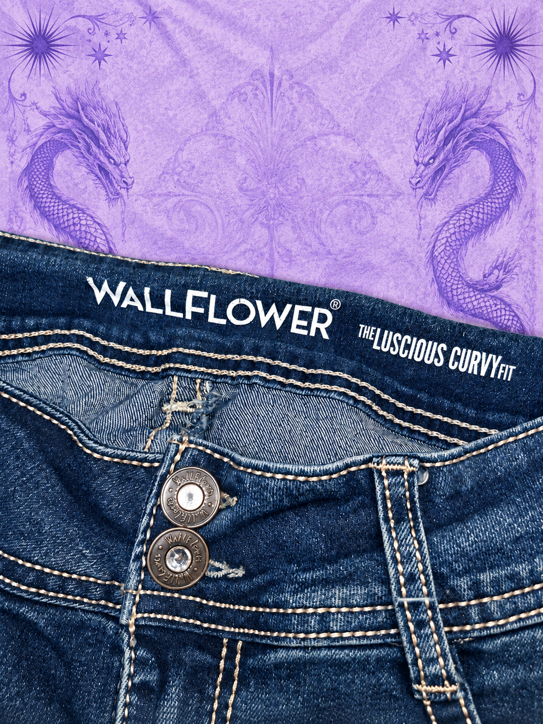 WallFlower Y2K Dark Wash Flare Jeans Embroidered – Size 9